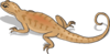 Brown Salamander Walking Away Clip Art